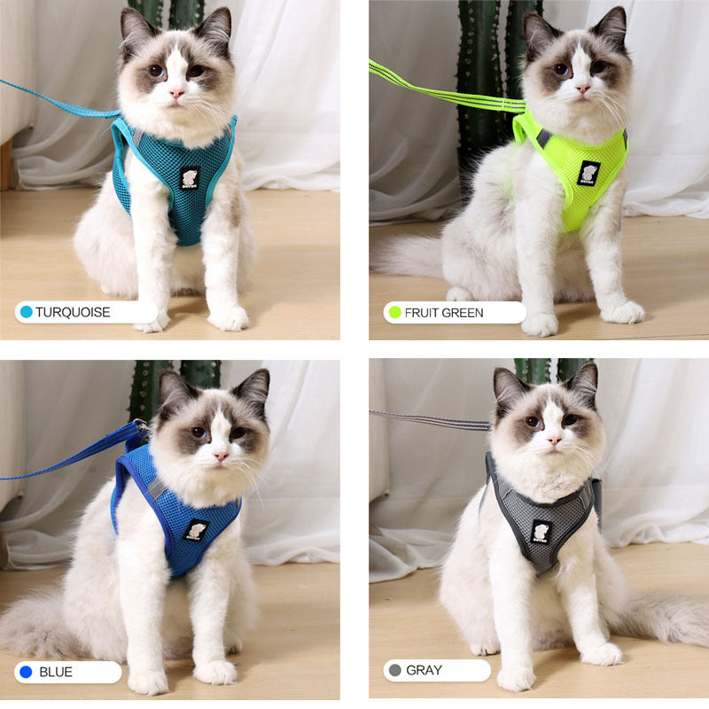 Unleash Your Cat's Mobility: The Anti-Strike Cat Traction Harness by My Trend Fleur