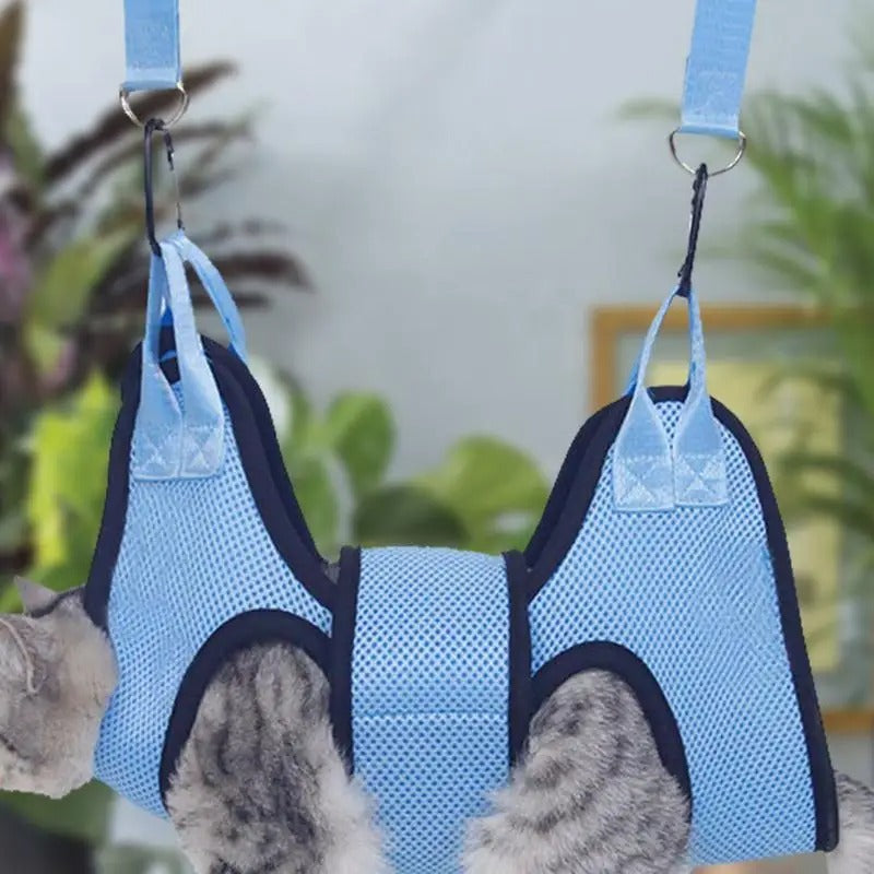 pet-hammock